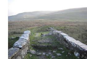 Drovers Road